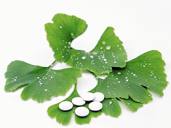 Ginkgo leaves with pills