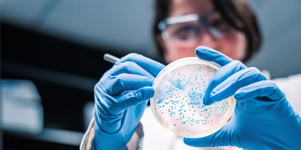 Laboratory assistant looking at a sample