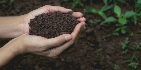 The Irish soil is lacking selenium