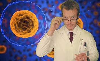 Mistaken Beliefs About Coenzyme Q10 Supplements